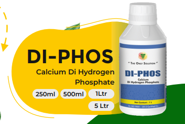 DI-PHOSE (Calcium Di Hydrogen Phosphate)